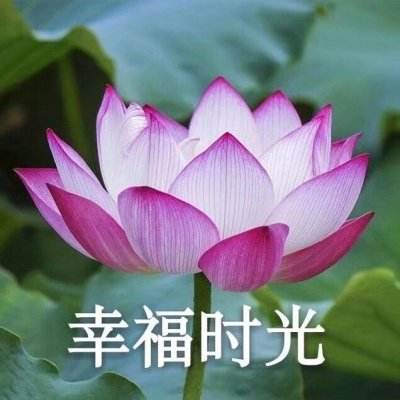 烈火雷霆oppo客户端下载