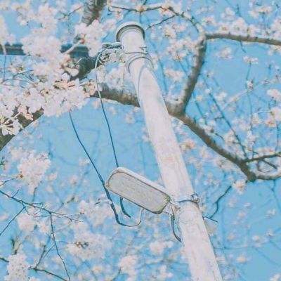 老九门益玩版下载
