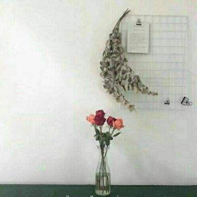 神契幻奇谭果盘版下载