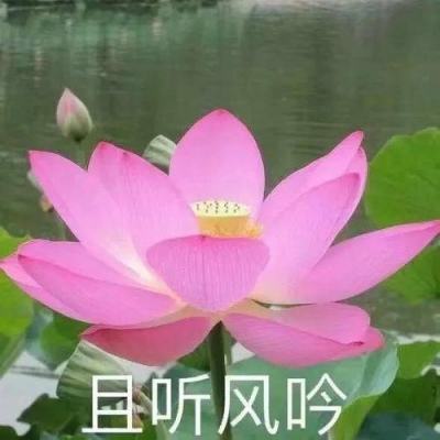 传奇之战满v变态版下载