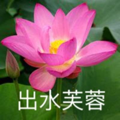食梦计划手游下载